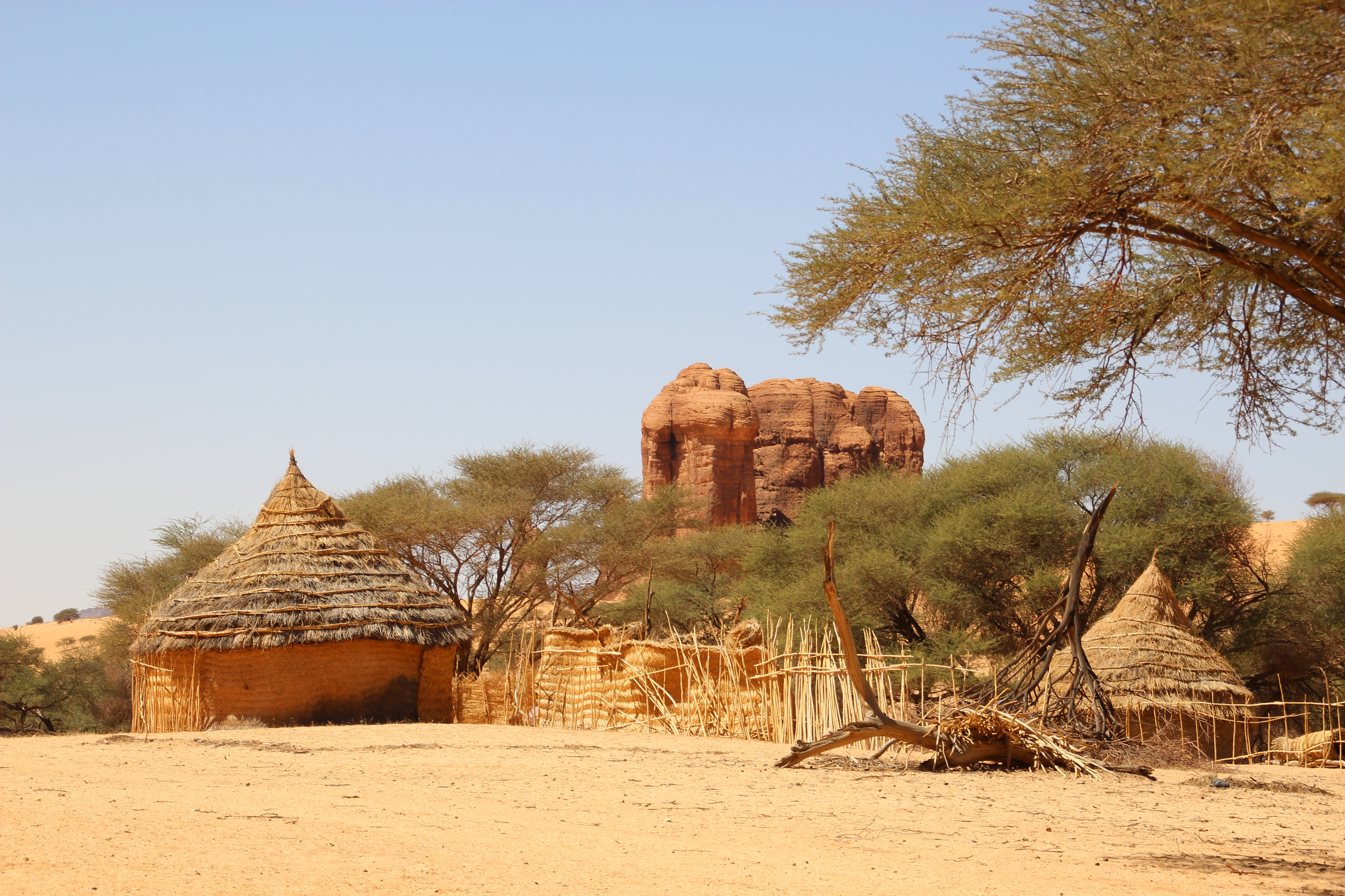 Chad Vaccinations Travel Health Advice