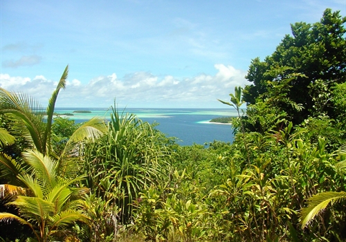 Injections for Tonga