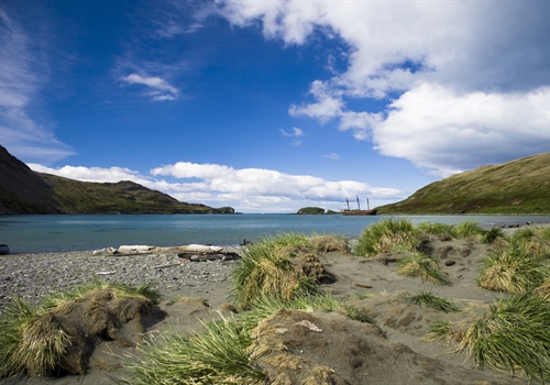 Falkland Islands