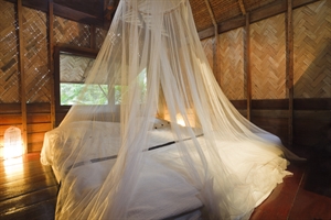 A bed with a mosquito net for malaria avoidance