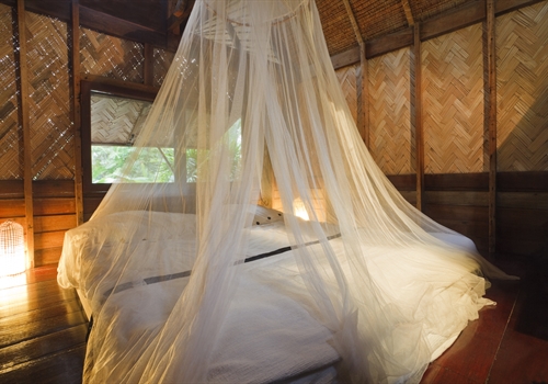 A bed with a mosquito net for malaria avoidance